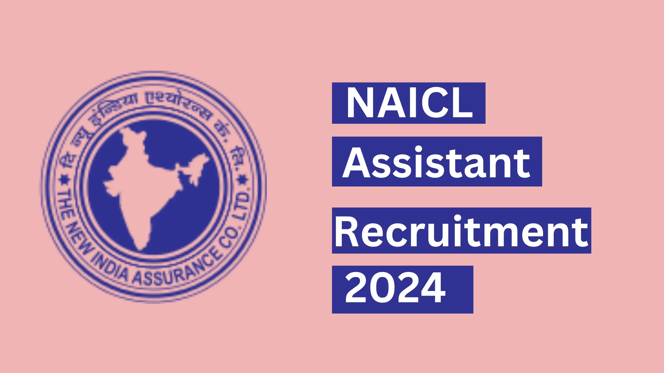 NAICL Assistant Recruitment 2024