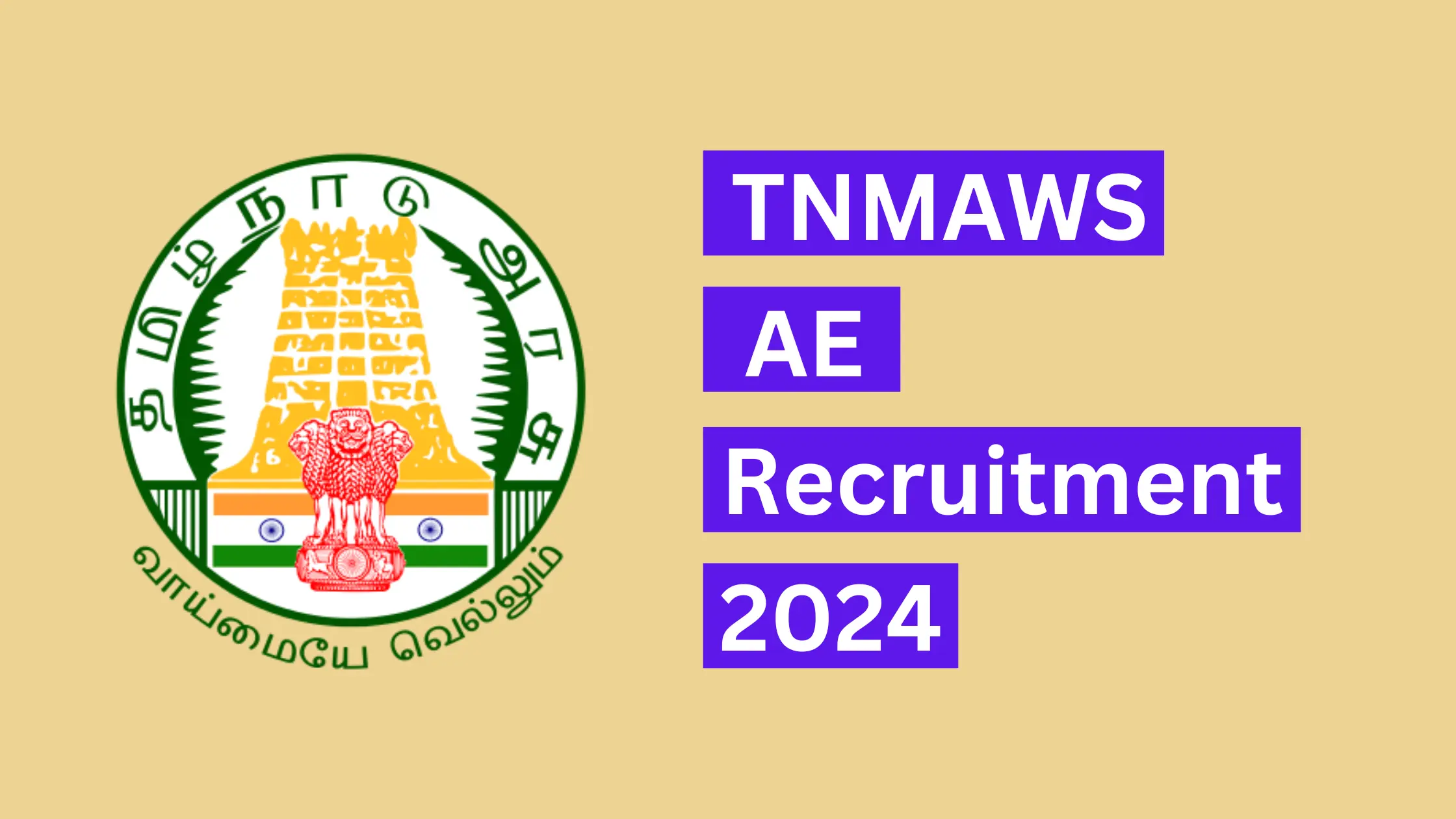 TNMAWS AE Recruitment 2024